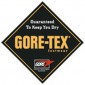 Hanwag  Friction GTX